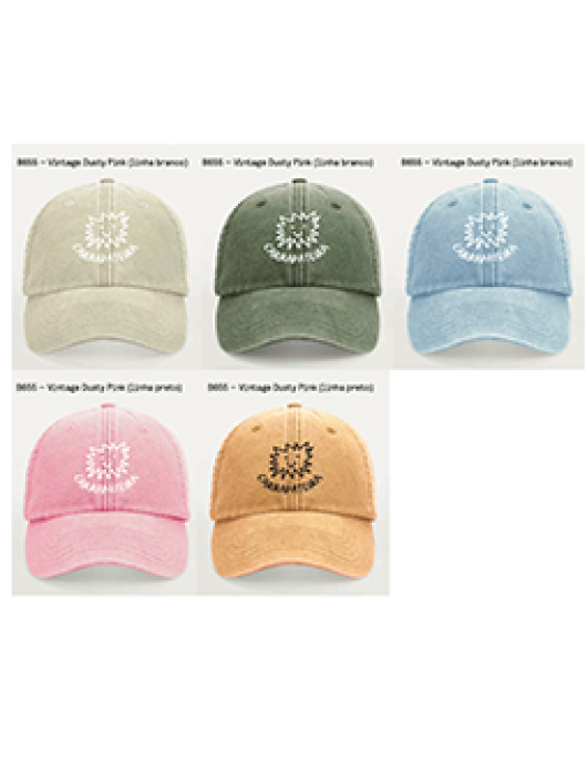6 Panels Vintage Cap